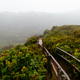 Pathway through Furnas do Enxofre a foggy day of summer - PhotoDune Item for Sale
