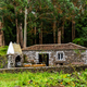 Traditional stone cottage in Recreation area in Mata da Serreta Forest Reserve in Terceira Island - PhotoDune Item for Sale