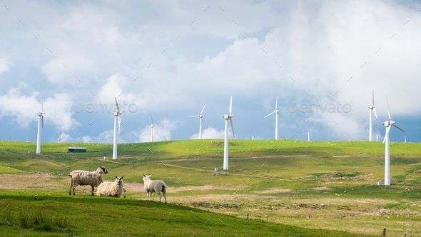 Giant wind turbines on the grassy hills in the countryside