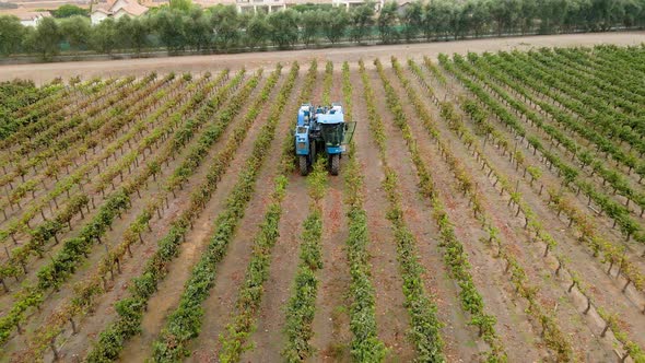 Aerial dolly out view of a blue grape harvester in a vineyard in the Maipo Valley, Chile. alt