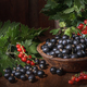 ripe currant berries - PhotoDune Item for Sale