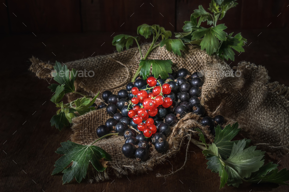 ripe currant berries - Stock Photo - Images