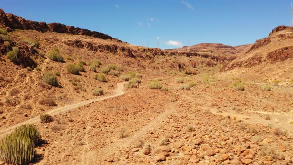 Aerial Shot Of Mexico Desert with Cactus