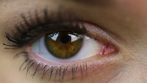 Eye Extreme Close-Up. Makeup. Woman on Reception at the Oculist. Healthcare alt