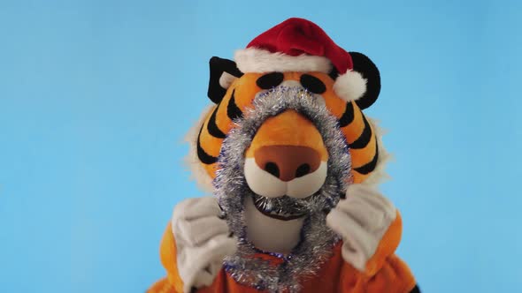 Man in Tiger Costume with Santa's Red Hat and Tinsel Dances on a Blue Winter Background alt