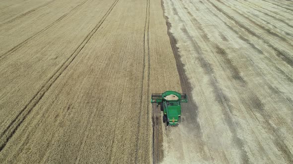 Aerial View of a Harvester That Works in the Field and Collects Ripe Wheat alt
