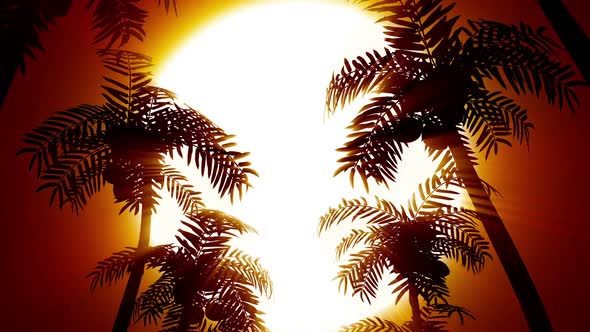 Palms Sunset