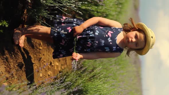 Little Girl Smelling Lavender Flowers at the Field in Provence France