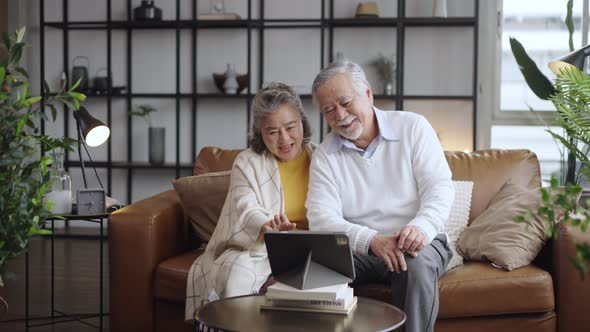 Asian mature senior couple look talk to smartphone camera at home.