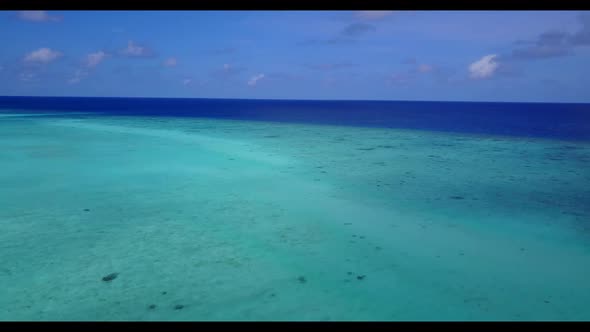 Aerial top view texture of tranquil coast beach wildlife by blue water with clean sandy background o alt