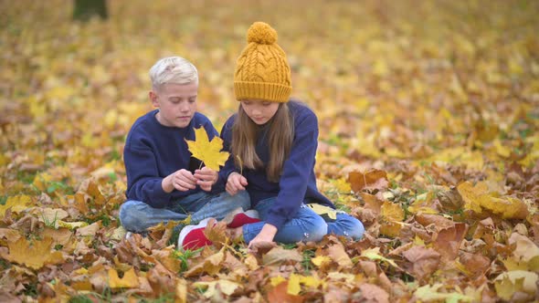 Kids Gather A Bouquet Of Beautiful Yellow Fallen Leaves
