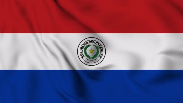 Paraguay flag seamless waving animation