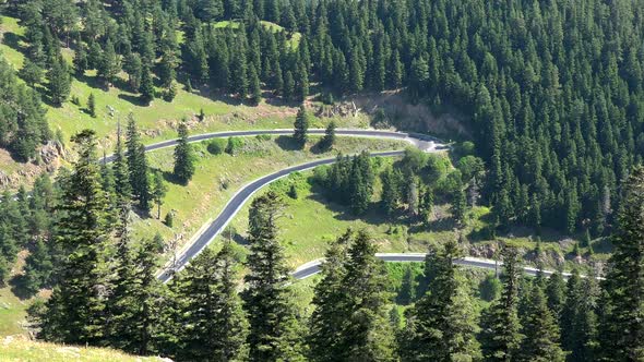 Empty Asphalt Winding Mountain Road in the Pine Forest alt