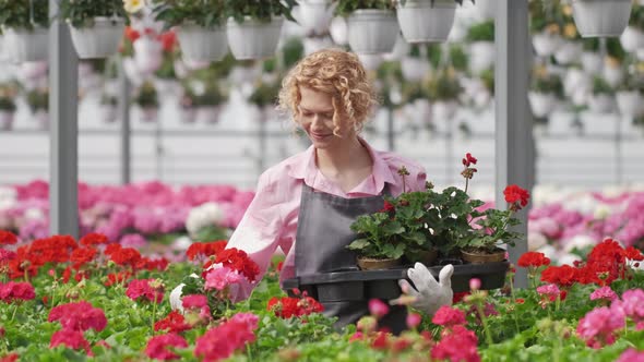 Beautiful Curly Woman Gardener is Holding a Pot with Beautiful Flowers alt
