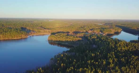 Aerial Drone Flies Over Spring Forests in the Golden Evening Light