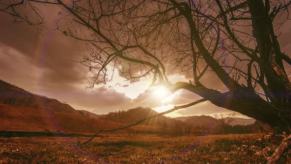 Time Lapse of Death Tree and Dry Yellow Grass at Mountian Landscape with Clouds and Sun Rays alt