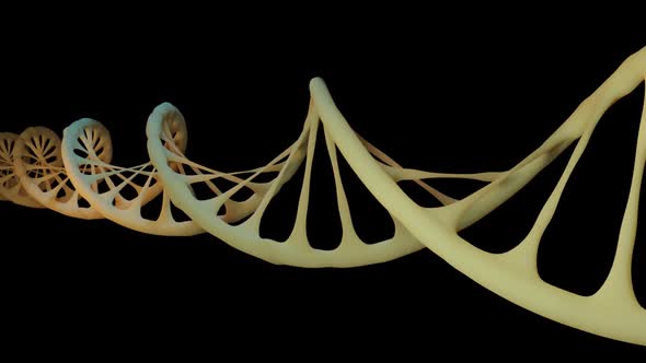 Dna Loop Version2 alt