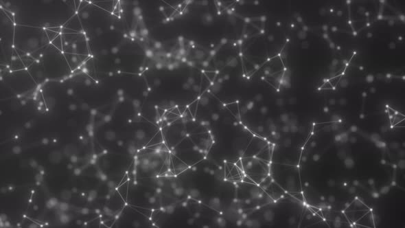 Plexus Bg Black White alt