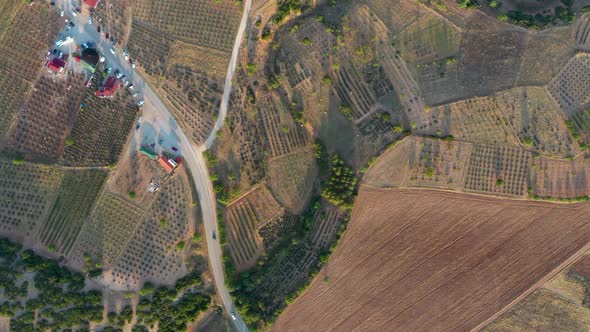 Lavender Fields Turkey Alanya alt