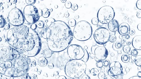 Super Slow Motion Shot of Moving Blue Bubbles Isolated on White Background at 1000Fps alt