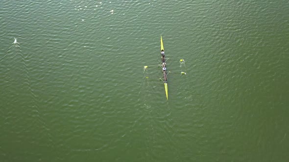 Aerial view of two people rowing a yellow boat on a lake next to two white swans. alt