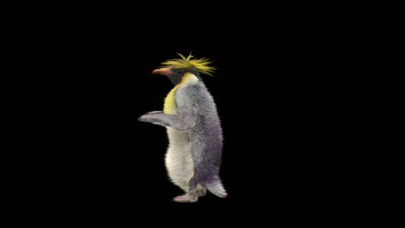 Penguin Dancing HD alt