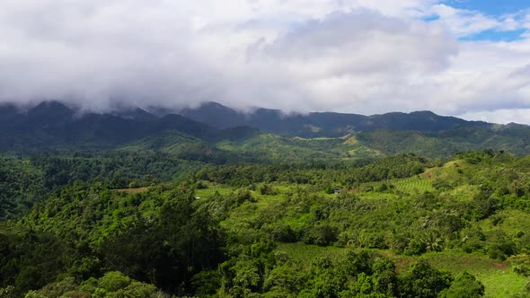 Mountain Peaks Are Covered with Rainforest and Clouds. alt