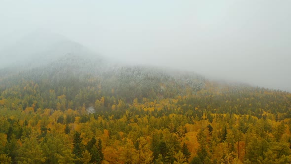 Foggy autumn forest Snowy mountains in the fog Eastern Sayan Siberia Buryatia Arshan alt