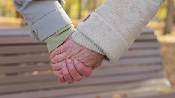 Close Up Elderly Couple Holding Hands Together Lovely Old Middleaged Partners Grandparents Senior alt
