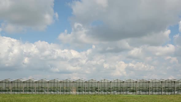 Clouds above greenhouses