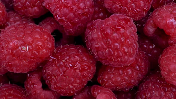 Fresh Raspberry Summer Fruits