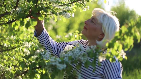 Charming Blonde Adult Woman Sniffing Apple Flowers in the Garden with Flowering Trees in Spring