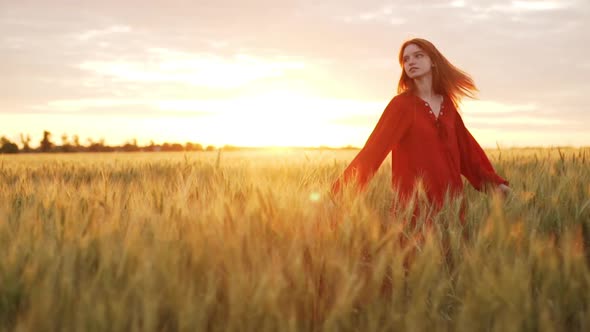 Slow Motion Rear View of Beautiful Redhead Girl Watching Sunset on Wheat Field Romantic Woman with