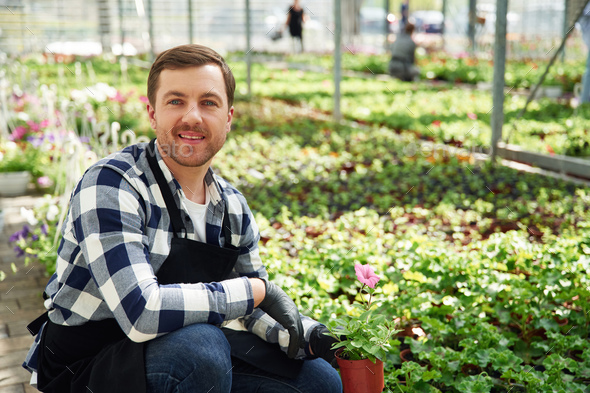 bearded florist man is working in garden center. Successful employee is in a bright greenhouse - Stock Photo - Images