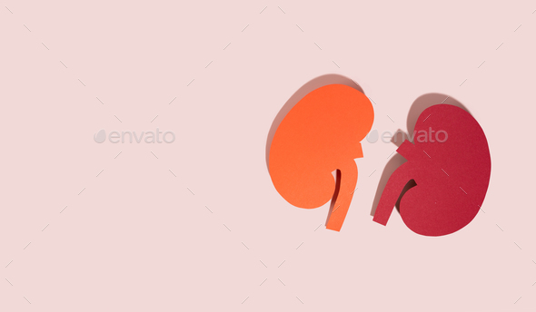 Concept World kidney day, handcraft paper red kidneys on pink background. Copy space. Banner