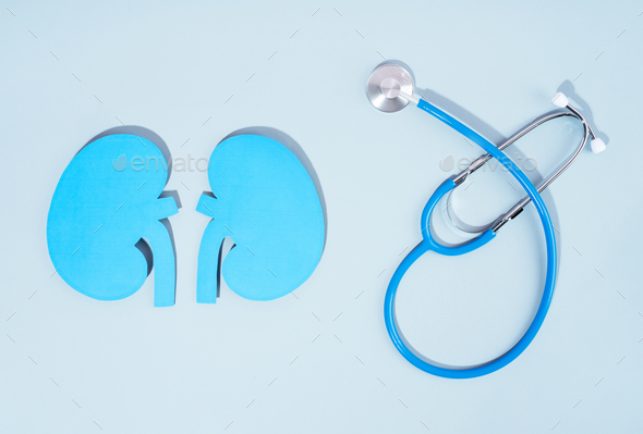 Concept World kidney day, handcraft paper blue kidneys and stethoscope on blue background