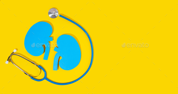 Concept World kidney day, handcraft paper blue kidneys and stethoscope on yellow. Copy space. Banner