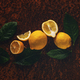 Ripe juicy lemons - PhotoDune Item for Sale
