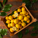 Top view of ripe lemons - PhotoDune Item for Sale