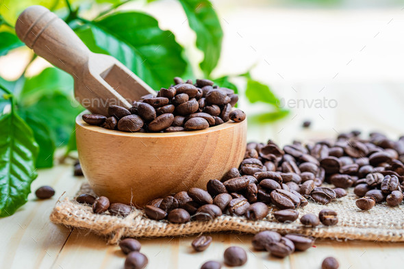 Coffee bean medium roasted in wooden bowl with leaf in fresh morning. - Stock Photo - Images