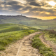 Dirt road in tranquil landscape Tuscany - PhotoDune Item for Sale