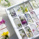 ice mold with frozen flowers. Ice cubes for cooling on a summer day - PhotoDune Item for Sale