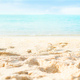 Sea Beach Summer Background,Ocean and Blue Sky Horizon Tropical Nature - PhotoDune Item for Sale