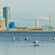Seagulls resting on rocks at Kattegat sea in Halmstad industrial harbor - PhotoDune Item for Sale