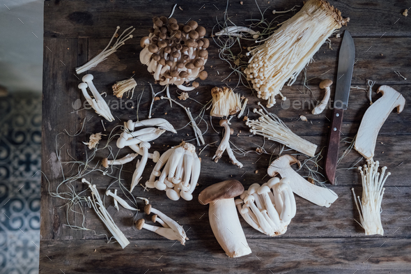 Various edible Asian mushrooms. Vegetables set. Dark photo natural light Flatly - Stock Photo - Images
