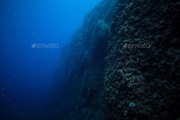 Rough massive coral reef under sea water - Stock Photo - Images