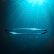 Bubble ring underwater in ocean - PhotoDune Item for Sale
