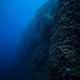 Rough massive coral reef under sea water - PhotoDune Item for Sale