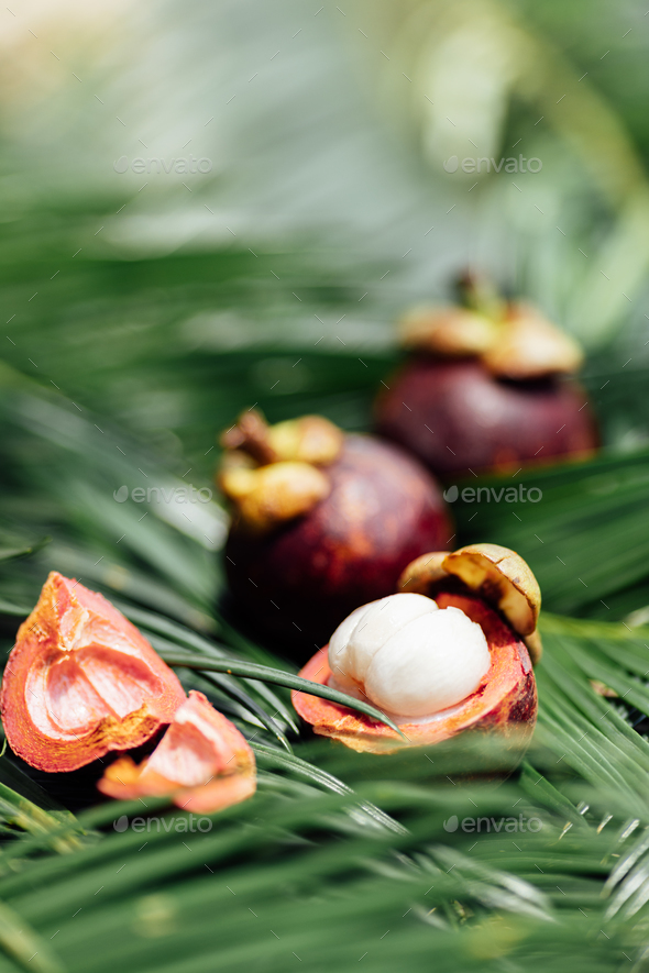 Fresh exotic fruits on green tropical palm leaves background. Sliced mangosteen. flat lay, overhead - Stock Photo - Images