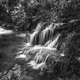 Cascade waterfalls. Krushuna falls in Bulgaria, black and white - PhotoDune Item for Sale